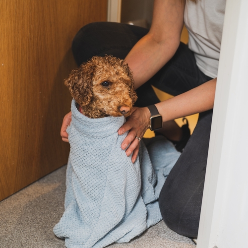 Microfibre dog drying bag - Image 12