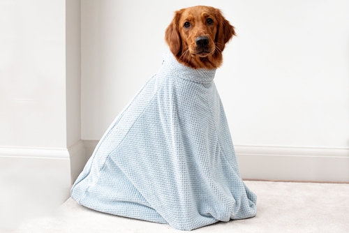 Microfibre dog drying bag - Image 9